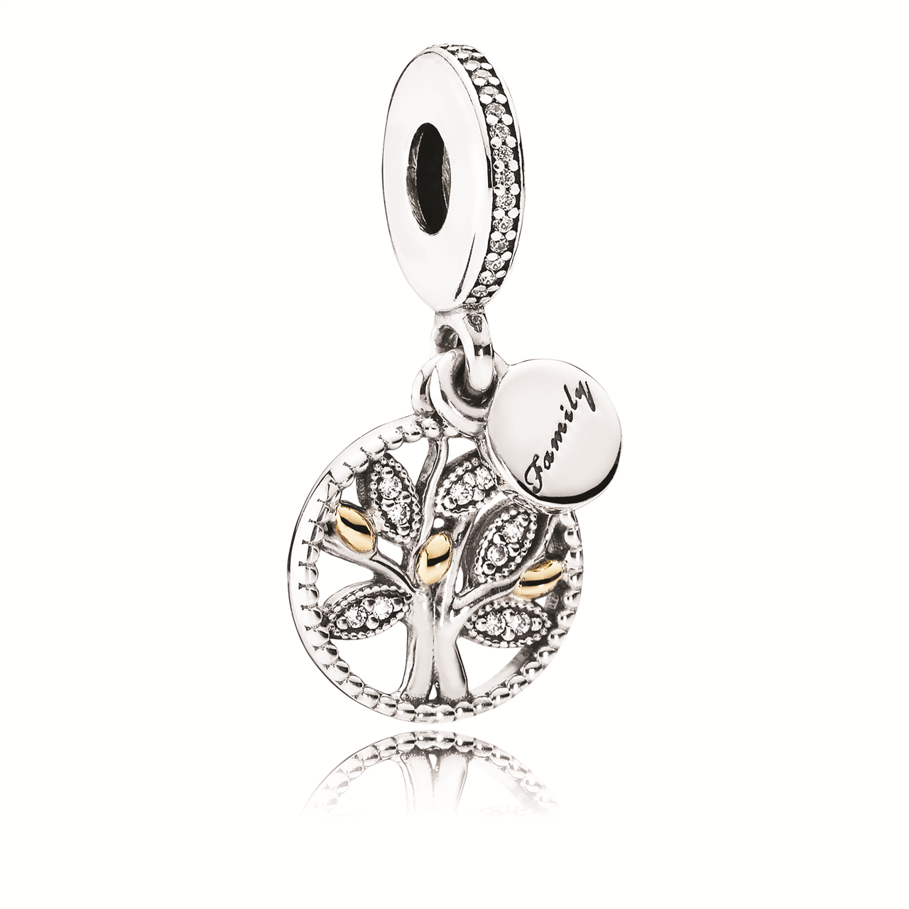Family Heritage Silver Hanging Charm