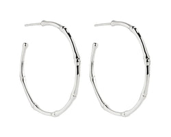 Silver Bamboo Stud Hoop, Antitarnish