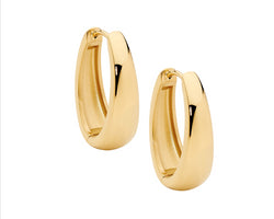 Stainless Steel 23Mm Hoop Earrings, Gold Ip Plated