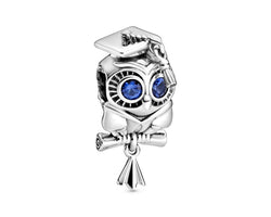 Wise Owl Graduation Charm