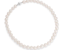 White Potato Shape Freshwater Pearls Strand Necklace