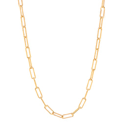 Yellow Gold (Plated Silver Rectangular Link Chain