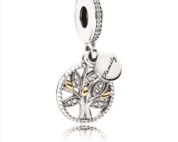 Family Heritage Silver Hanging Charm